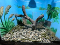 -石家庄市动物园