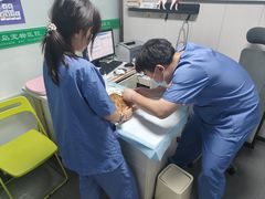 -半岛宠物医院24小时(科华中路店)