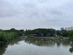 -江心屿景区