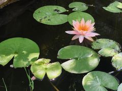 -苏州冶园园林民宿(太湖西山风景区店)