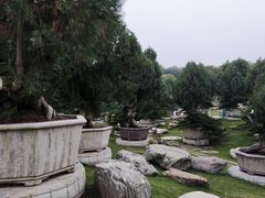 -中国唐苑