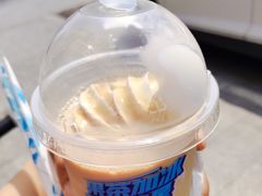 -蜜雪冰城(公园店)