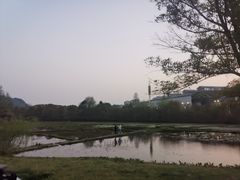 -贵阳市花溪国家城市湿地公园