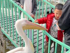 -水上乐园·欢乐世界