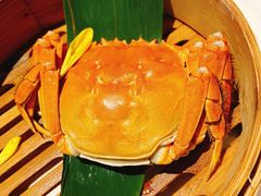 大闸蟹-蟹榭(静安寺晶品商场店)