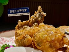 -唐猫庭院·千年陕菜(赛格国际购物中心店)