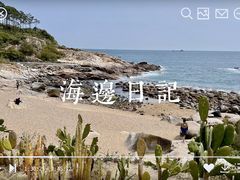 -广东惠东海龟国家级自然保护区