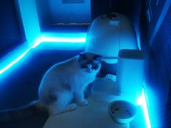 -零纪元VR体验馆·桌游(黄浦店)