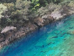 -叠溪松坪沟景区