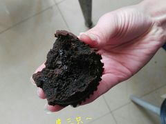 熔岩蛋糕-百年义利(北兴路店)