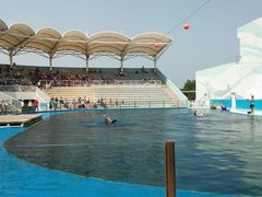 -北戴河圣蓝海洋公园