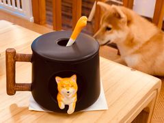 -豆柴町-柴犬主题狗咖(红鼎国际C座店)