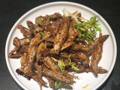 -鸽子侯·家宴·平价海鲜(市图书馆店)