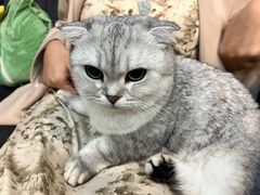 -悠米私人影院(街道口店)