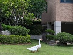 -厦门国家会计学院