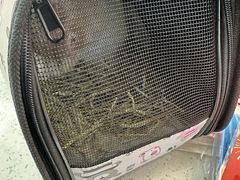 -北京观赏动物医院·24小时大型综合·猫专科·异宠专科