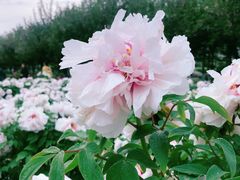 -西北农林科技大学(北校区)