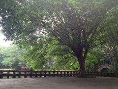 iphone_upload_pic-望江楼公园