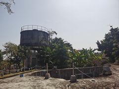 -长洲岛
