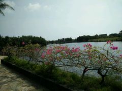 -三亚珠江南田温泉度假区