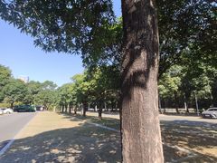 -东莞植物园