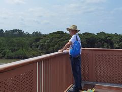 -东寨港红树林旅游区