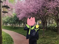 -木塔寺遗址生态公园
