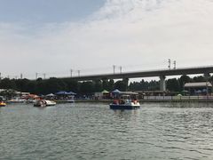 -秀丽东方