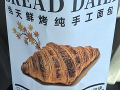 -面包日报