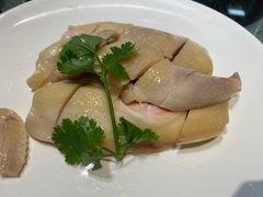 -旺金鸽·传承15年老字号·手工早茶(荔湾坦尾桥中店)