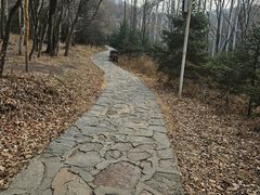 -帽儿山风景区