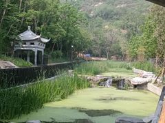 -白水寺森林公园