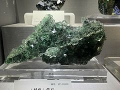 -湖南省地质博物馆