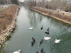 -长白岛森林公园