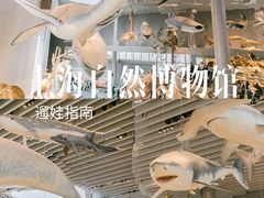 -上海自然博物馆