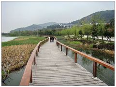 -蠡湖大桥公园