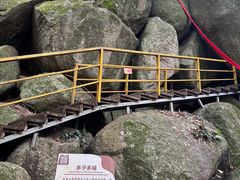 -海南霸王岭国家森林公园