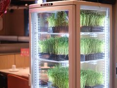 自助取餐区-煲宫猪肚鸡(晶品店)
