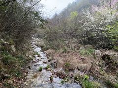 -武汉姚家山旅游景区