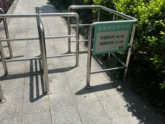 -南翔镇银翔湖公园