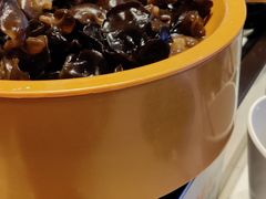 -龍歌自助小火锅(李沧顺和汇店)