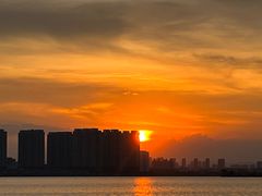 -瑶湖郊野森林公园