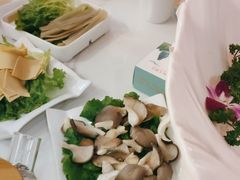 -印象高密·凤都国际大酒店