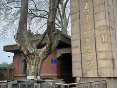 -紫金山山顶公园