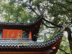 -岳麓山风景名胜区