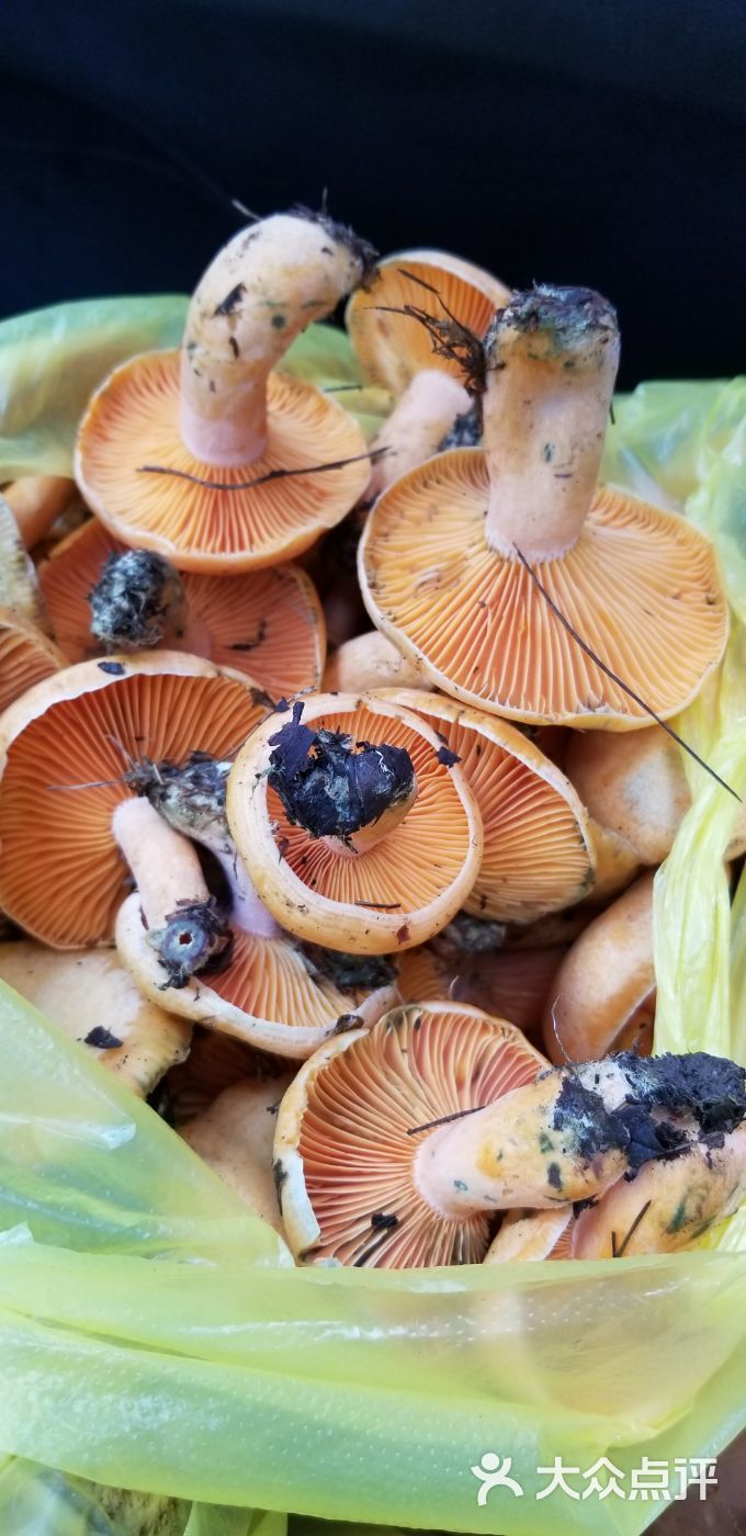 云蘑菇主题餐厅图片 - 第20张