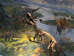 -自贡恐龙博物馆