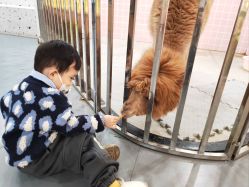 -Moni星球萌宠·小马宝莉·灵蛇·高端高阶全萌宠互动体验俱乐部(红豆国际广场店)