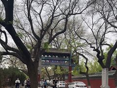 -北京国子监胡同