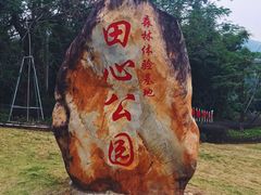 -田心森林公园